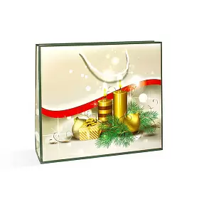 Пакет подарочный новогодний "Торжество"