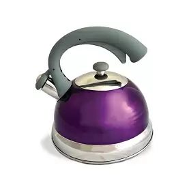 Чайник из нержавеющей стали  К-24, «TimA», фиолетовый, 2,5 л