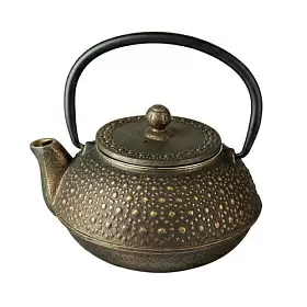 Чугунный чайник "Железный Монах", 600 мл