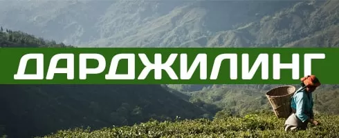 Долина Растений Интернет Магазин Беларусь Каталог 2022