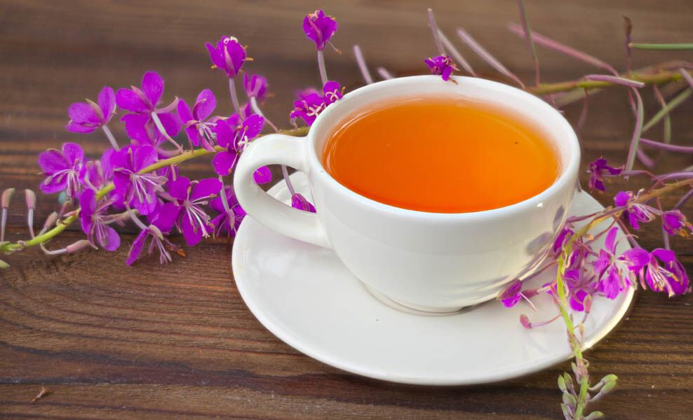 О пользе копорского чая для мужчин и женщин