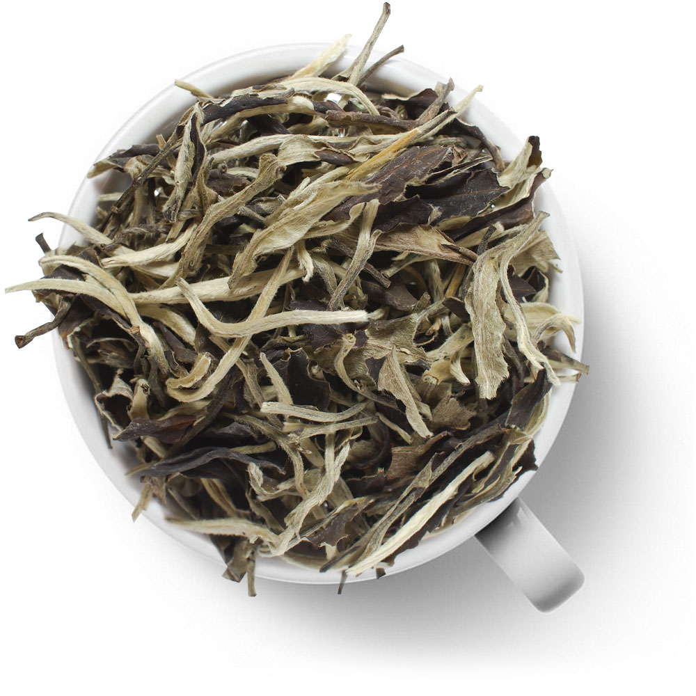 White tea. Белый чай Сахлаб. Белый байховый чай. White Tea чай белый. Шанхайский белый чай.