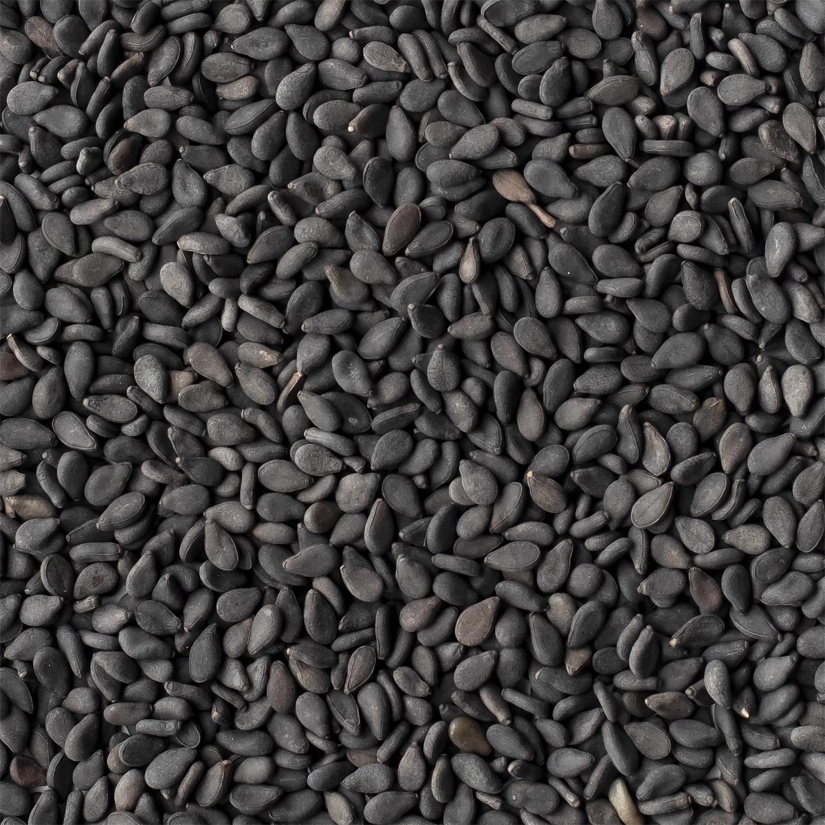 Черные семена похожие. Кунжут черный, семена. Кунжут черный 1/1кг Индия. Семена кунжутный черный. Чёрные семена похожие на кунжут.