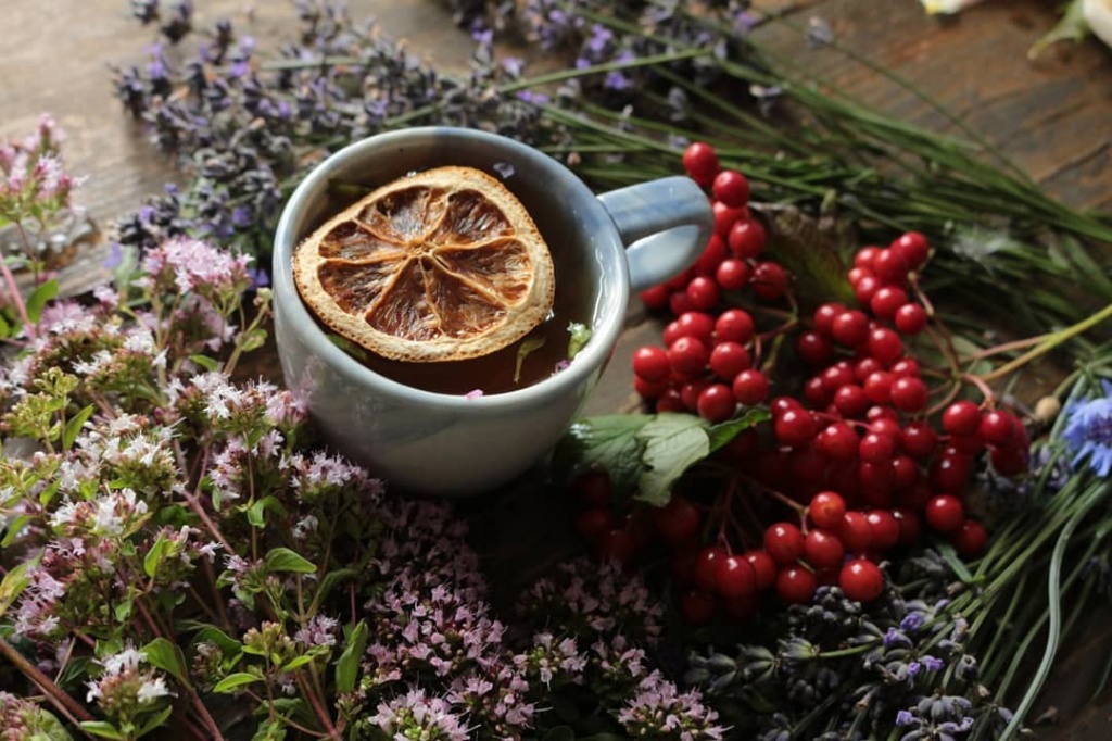 Копорский чай история и полезные свойства